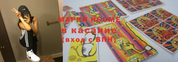 гашик Ладушкин