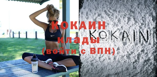 гашик Ладушкин