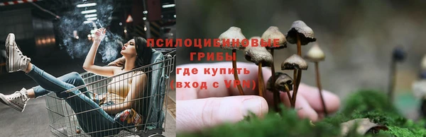 тгк Абдулино