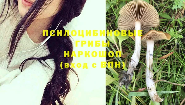 PSILOCYBIN Лагань