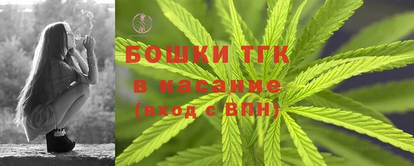 стафф Тында